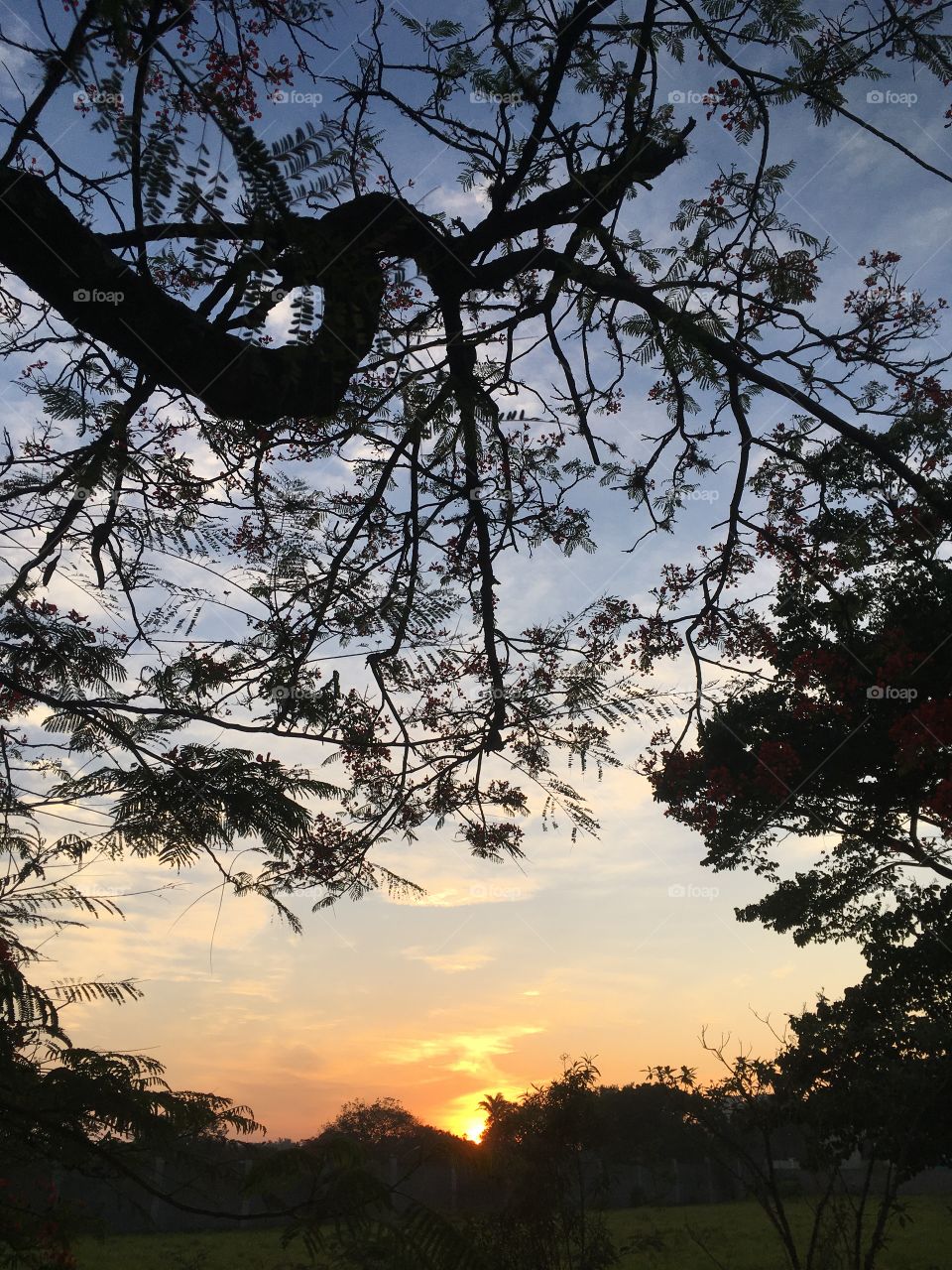 🌄🇺🇸 An extremely beautiful dawn in Jundiaí, interior of Brazil. Cheer the nature! / 🇧🇷 Um amanhecer extremamente bonito em Jundiaí, interior do Brasil. Viva a natureza! 