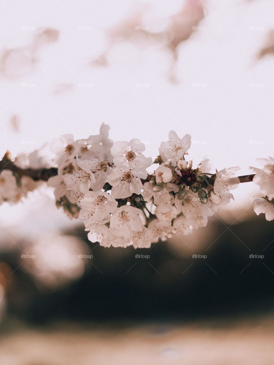 Dare to be different.  Each color in this photo will be experienced differently by each of us.  How beautiful life is.  Is it?