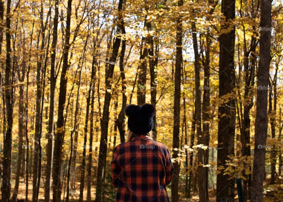 Woman in expansive, golden forest