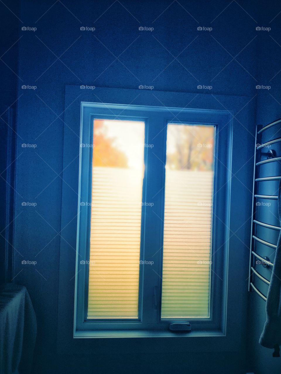 Autumn colors through the window