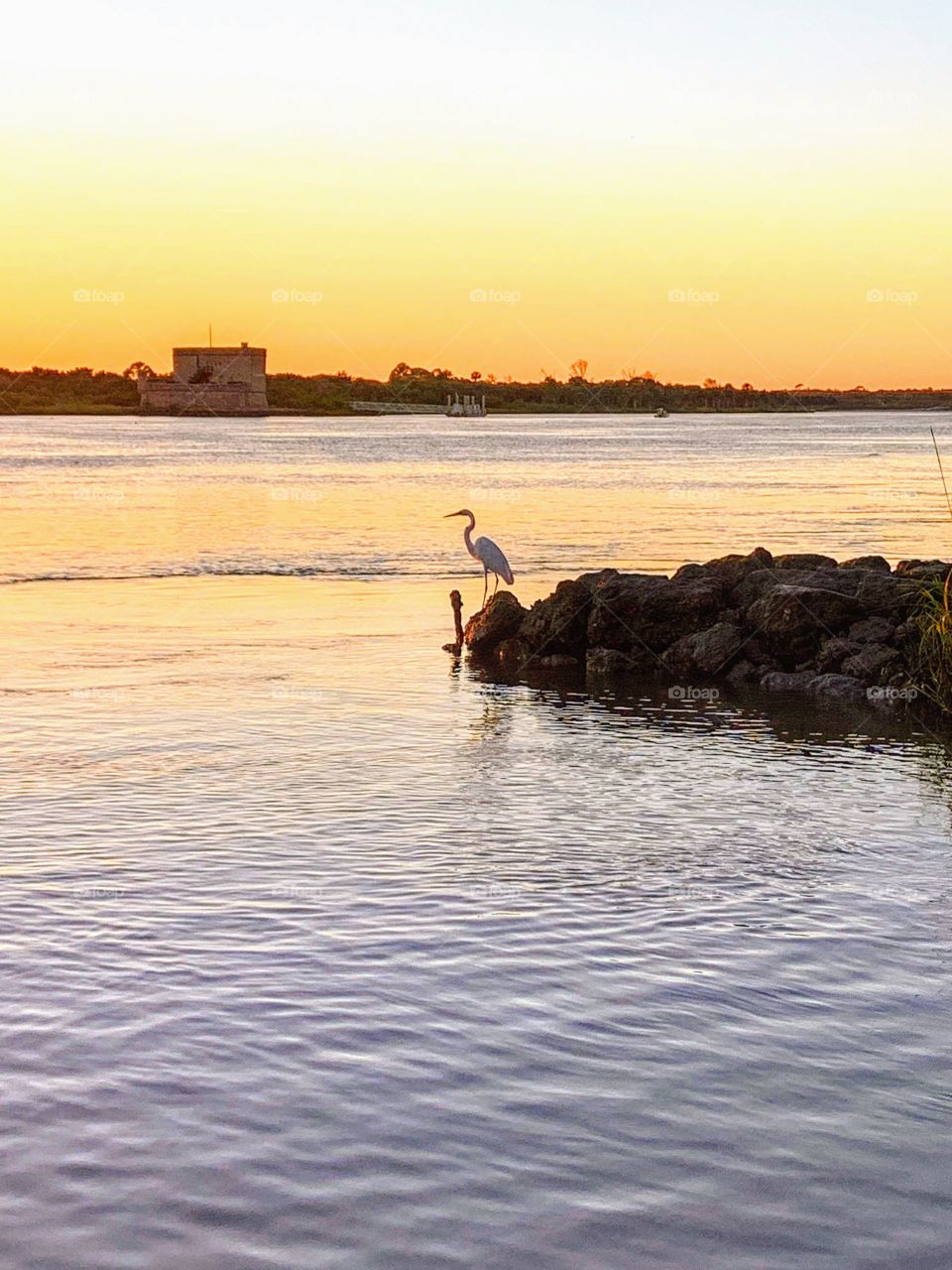 Heron outlook point