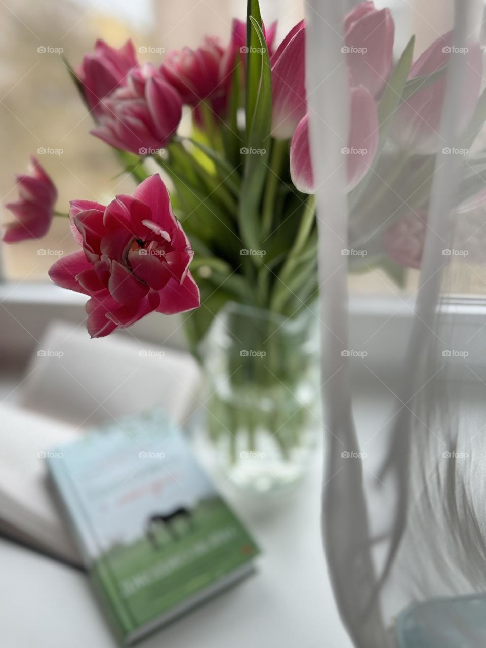 Pink tulips in transparent vase behind the curtain, books, window 