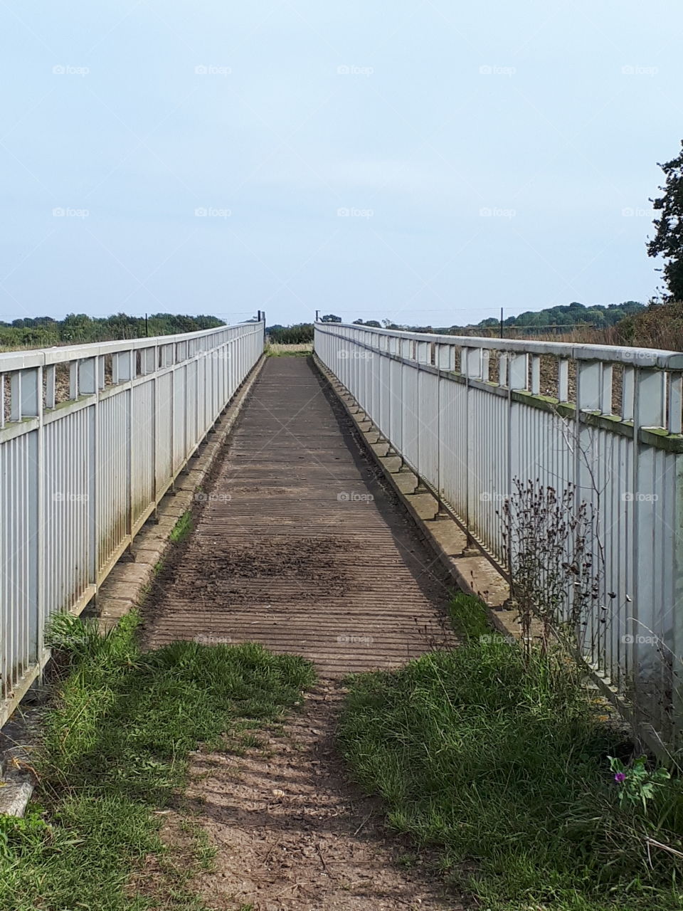 Muddy Foot Bridge