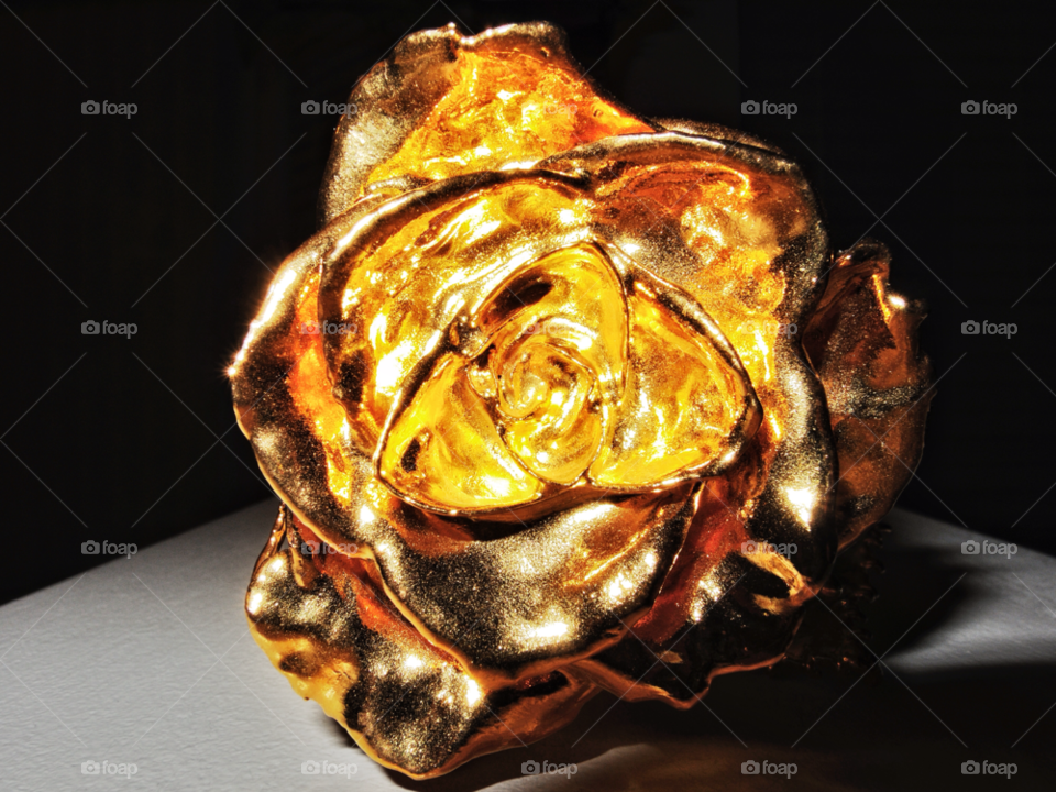 gold rose dipped 24 carat by delvec