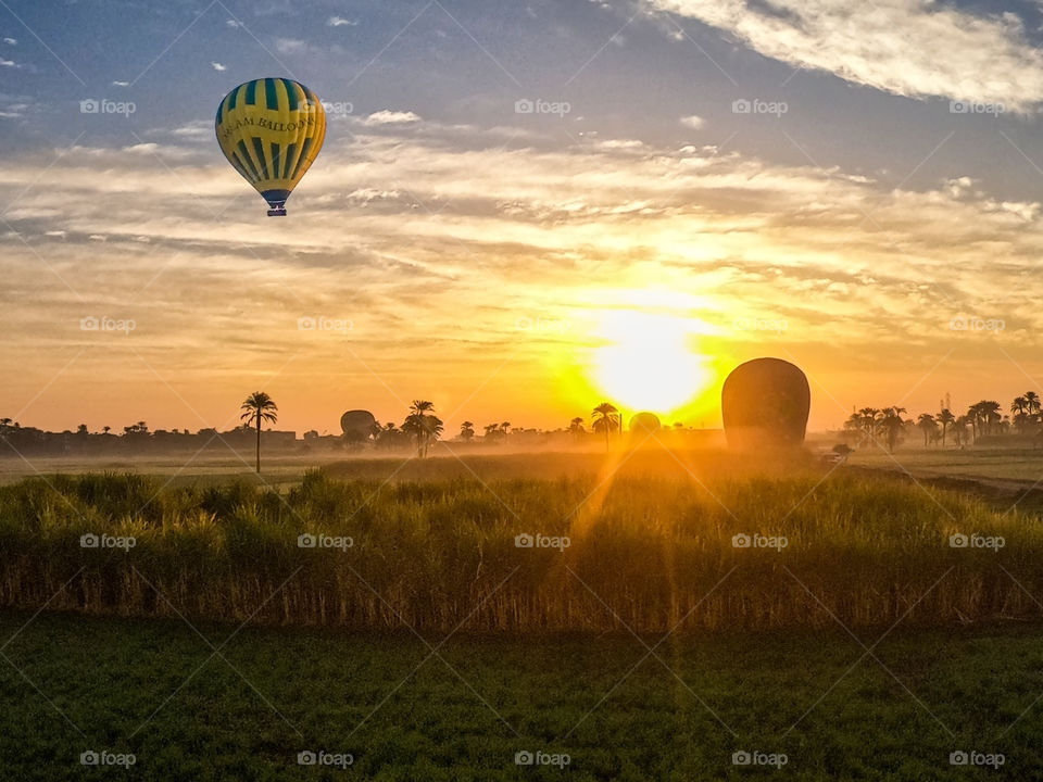 Balloon time in sunrise moment above the nice field view