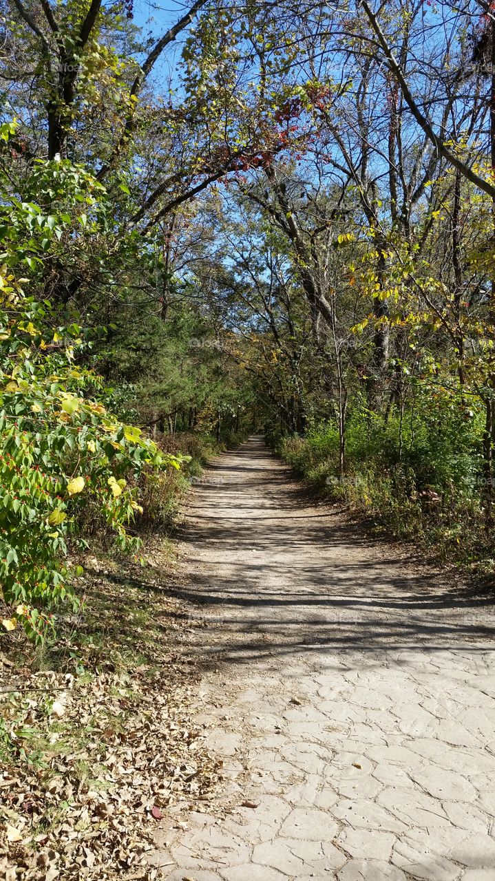 Starved rock park. one of the walking trails at the park