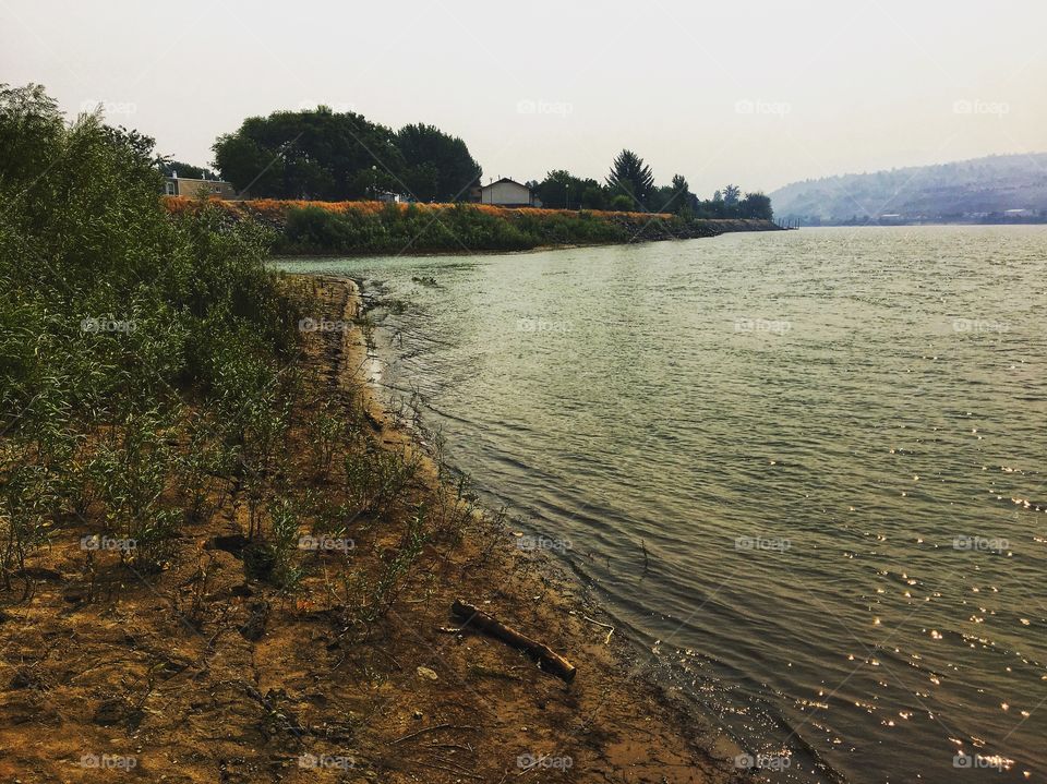 Smokey day by the river! 