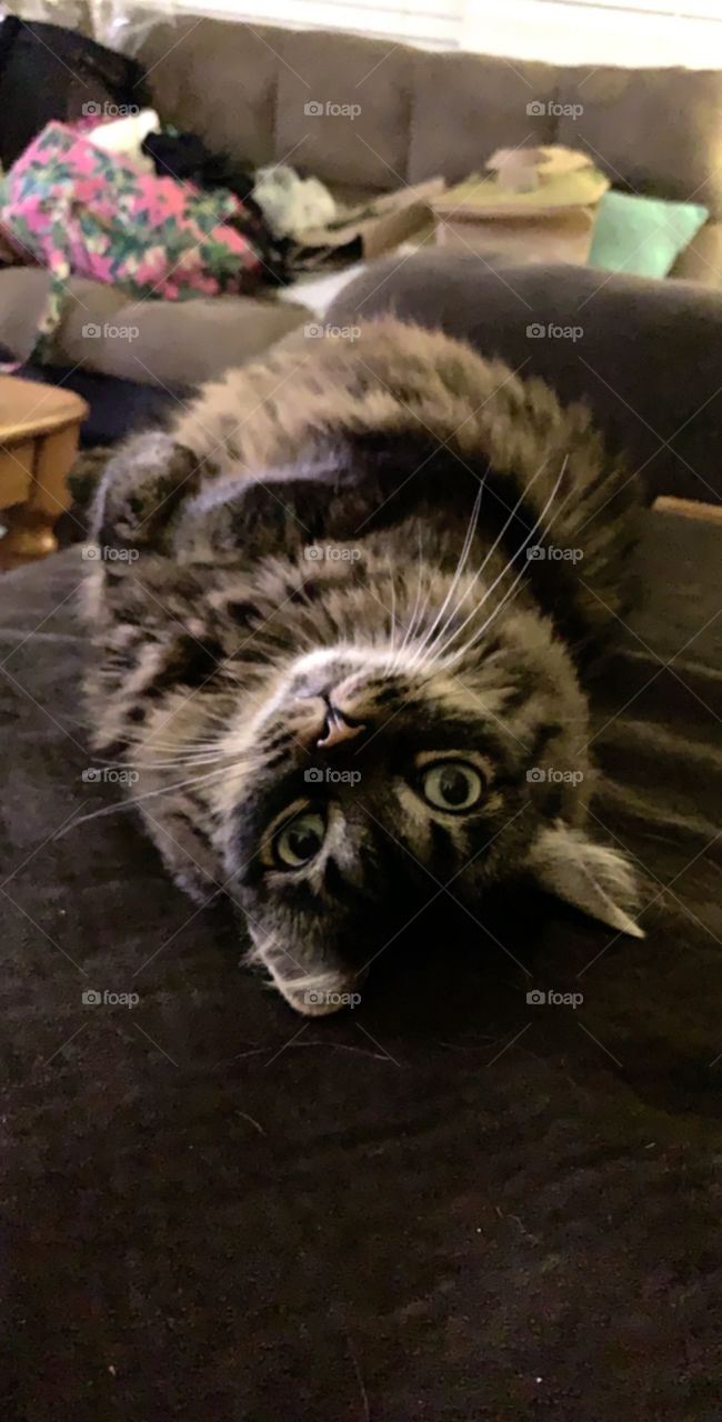 The face of innocence