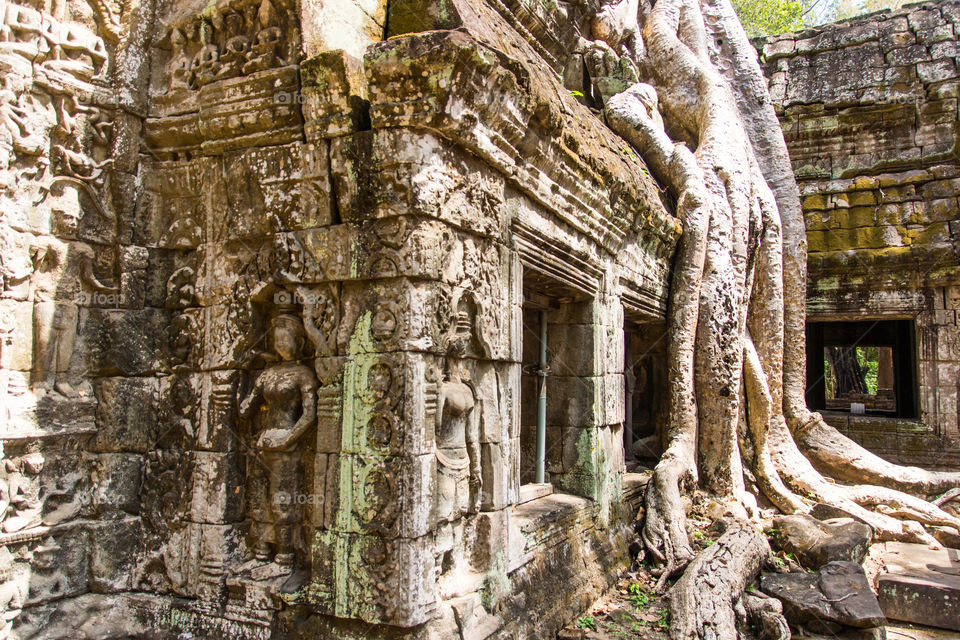 Ta Prohm temple, also known as 'Tomb Raider Temple' in Cambodia 