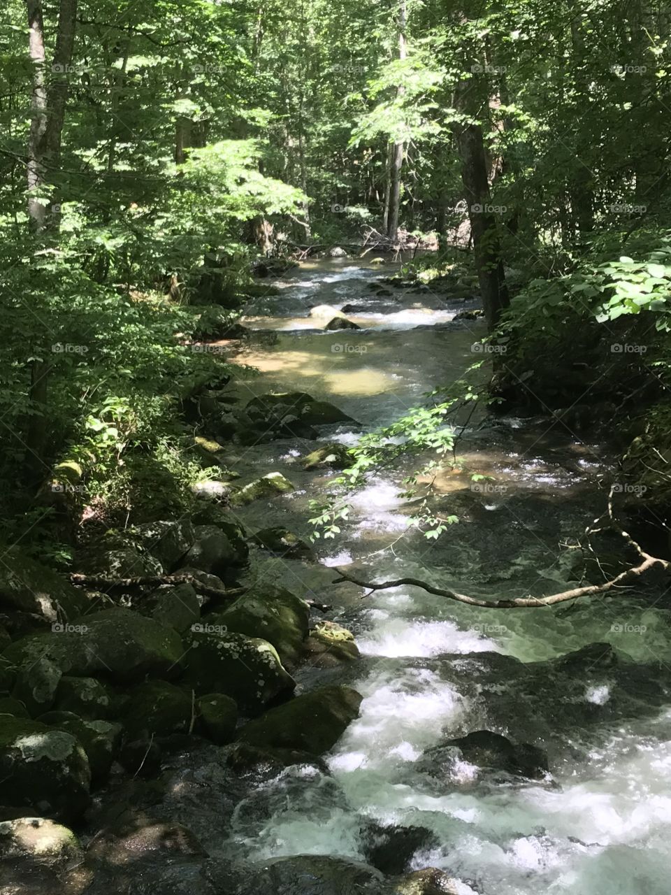 Peaceful creek 