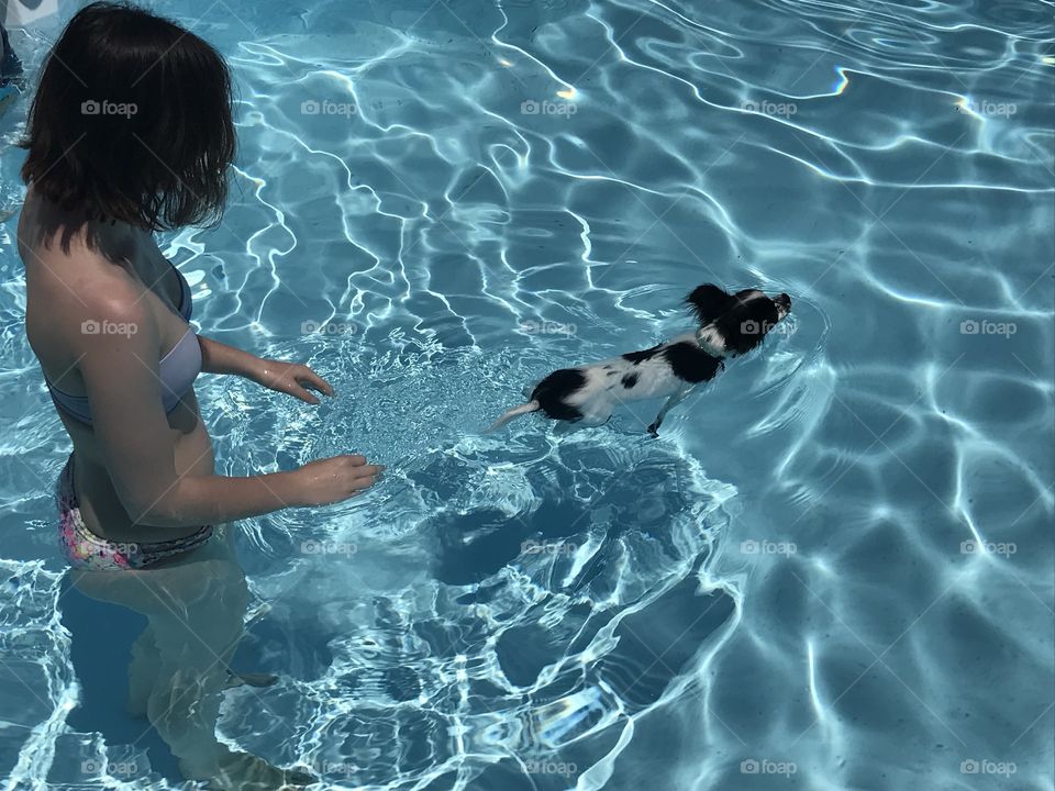 Puppy Going for a Swim 