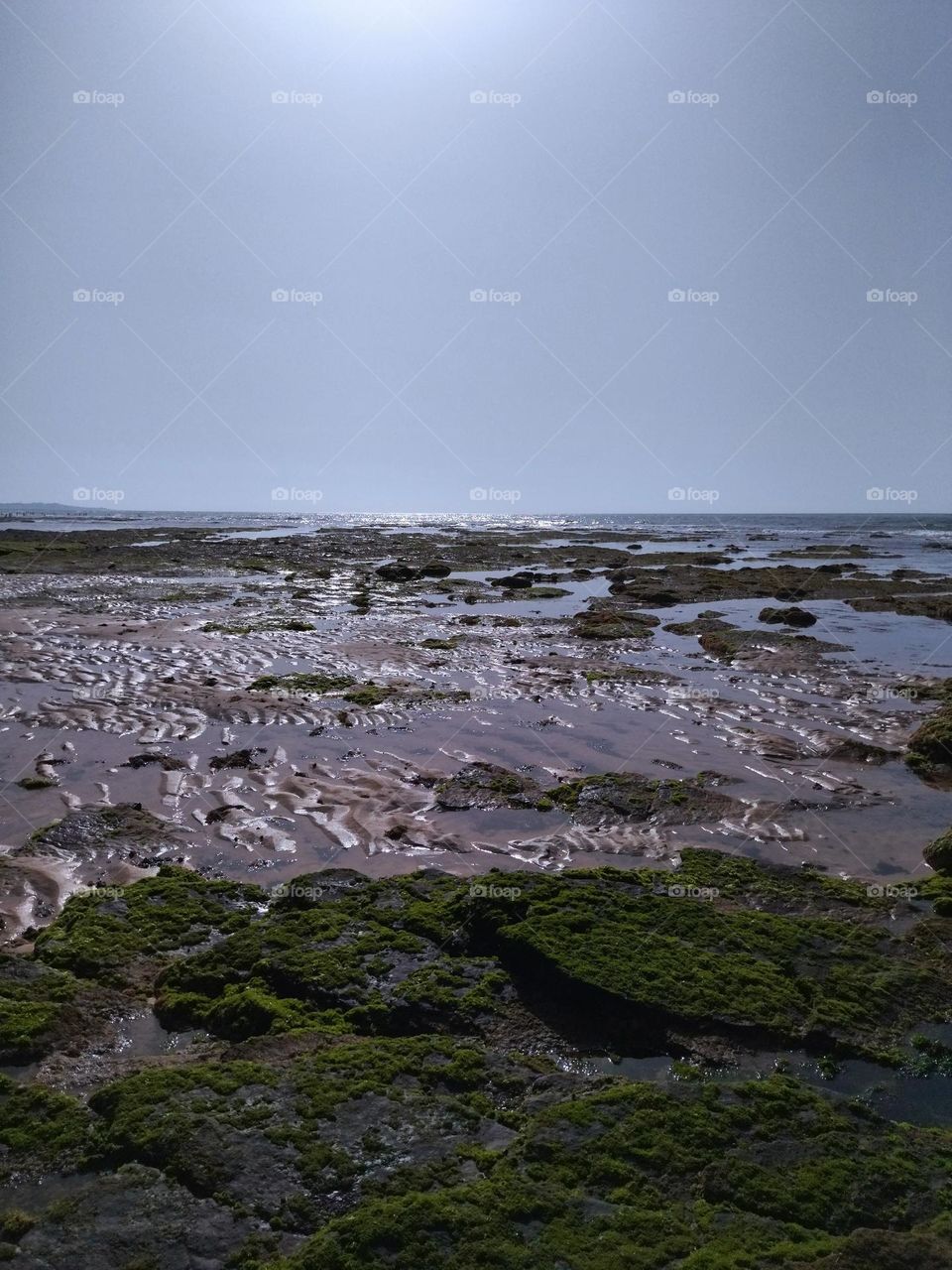 Sunlight in the beach rock