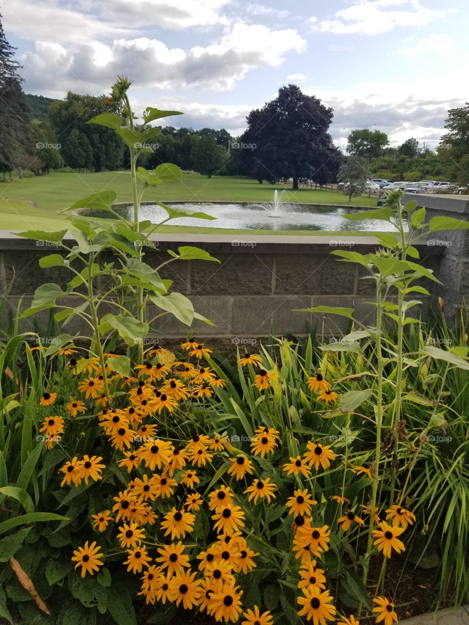 on the glen