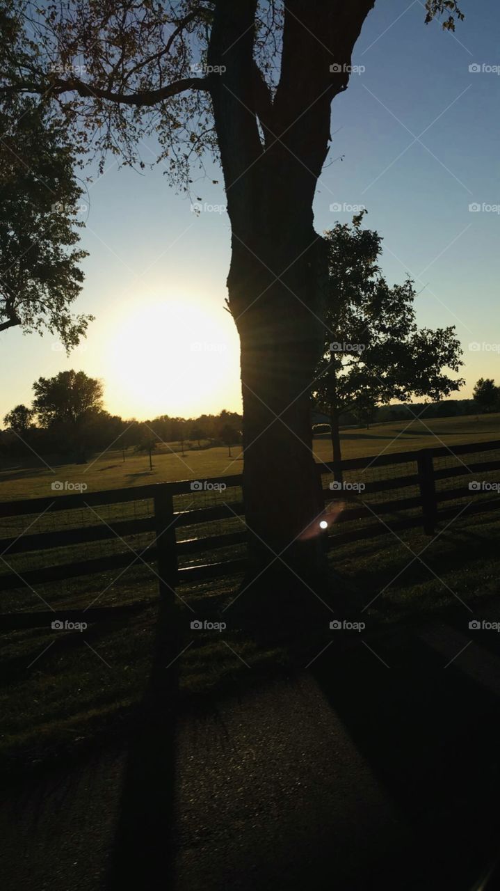 Taken on a horse farm in the back woods of Kentucky. Beautiful sunset.