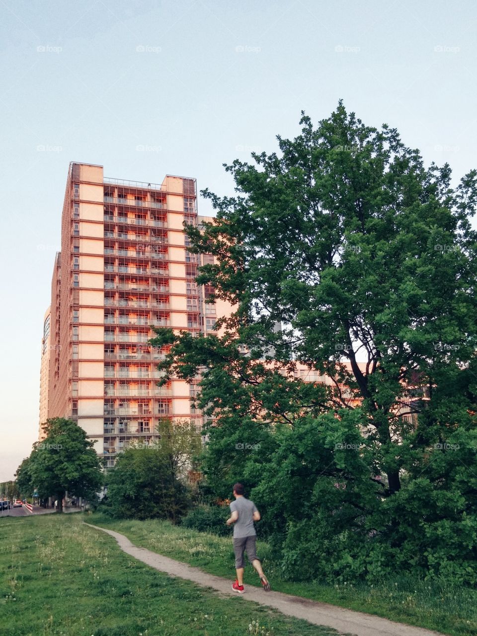 Green city landscape
