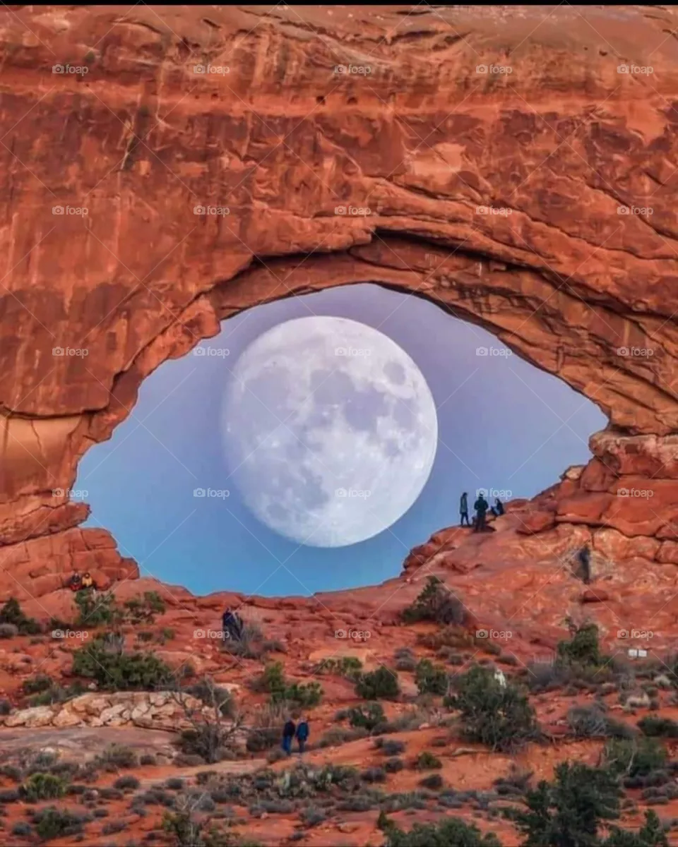 The moon