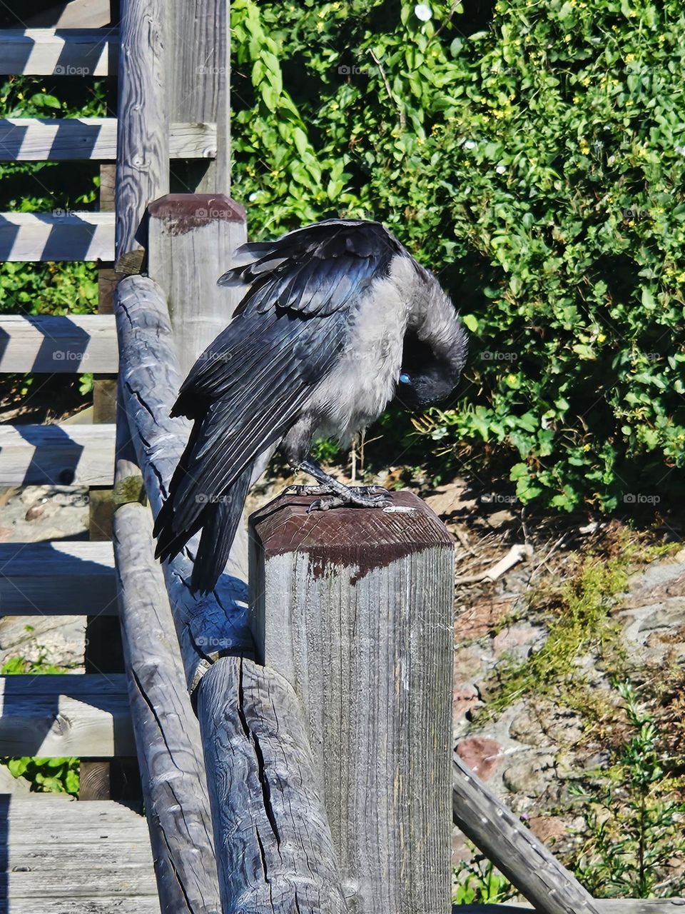 Need to freshen up a bit