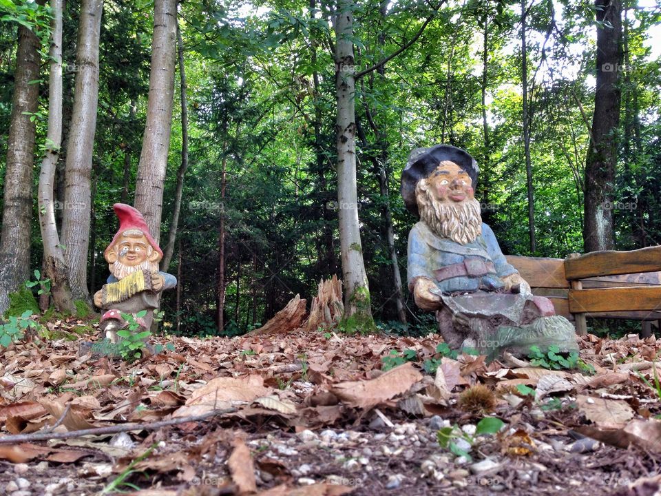 Gnomes 