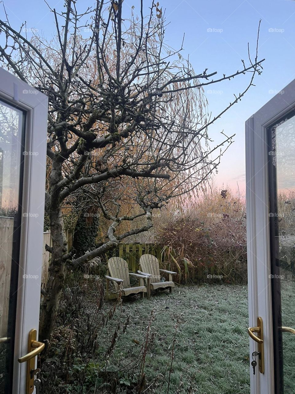 frosty morning
