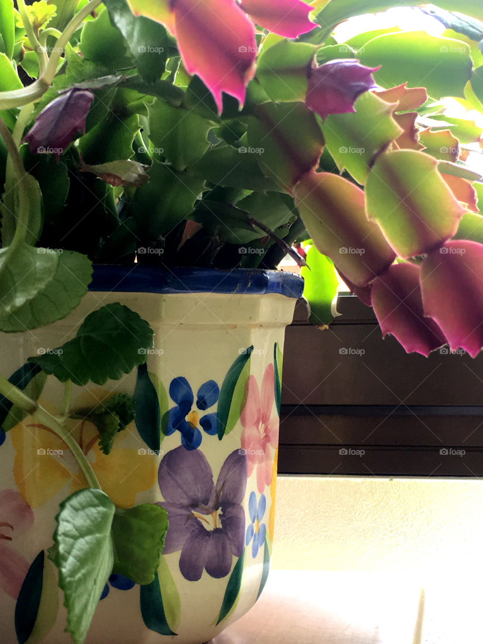 Flower pot with a succulent plant 