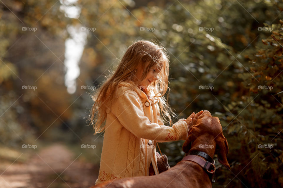 Little girl playing with dogs in an autumn park