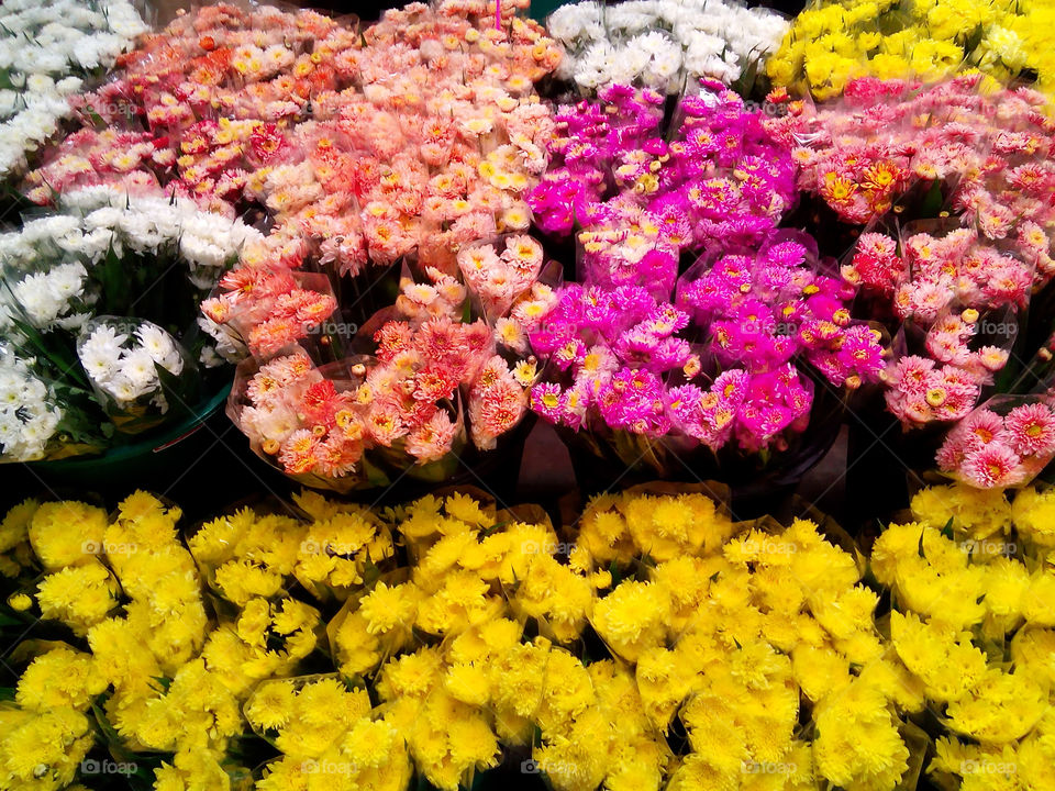 flower. simummuang market pathumthani thailand