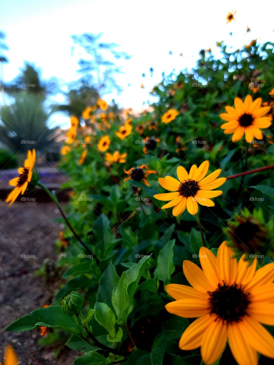 spring and happiness