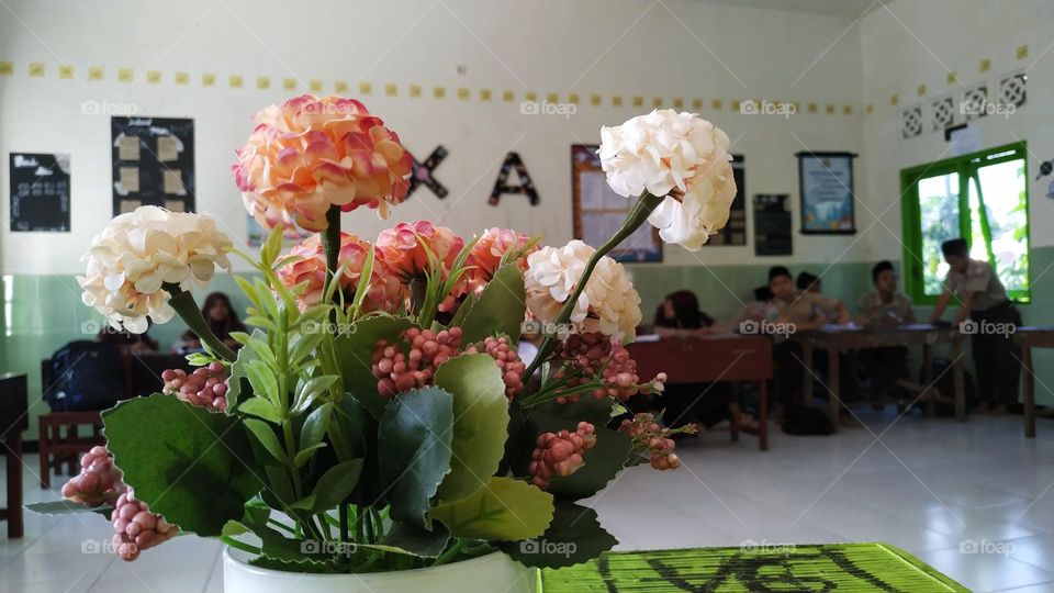 a flower in the classroom