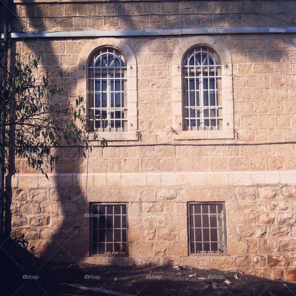 tree window bricks shade by barkai