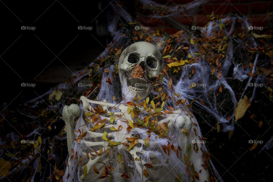 Spooky skeleton with fallen leaves and cobweb