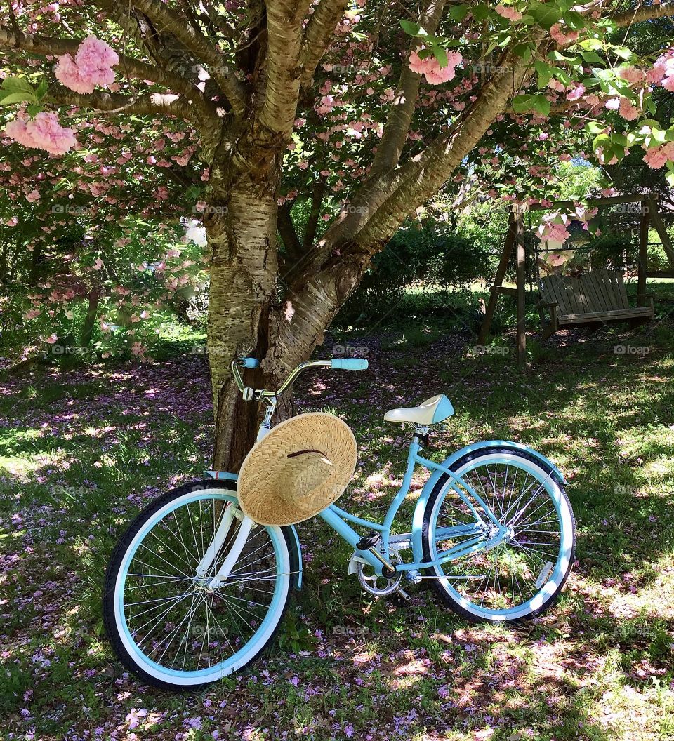 Bicycle in Springtime 