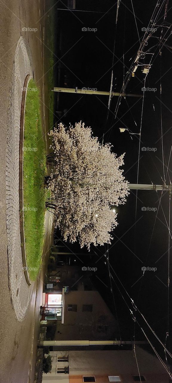 kreis Seen in Winterthur findest du so schönen fröhlichen Dinge