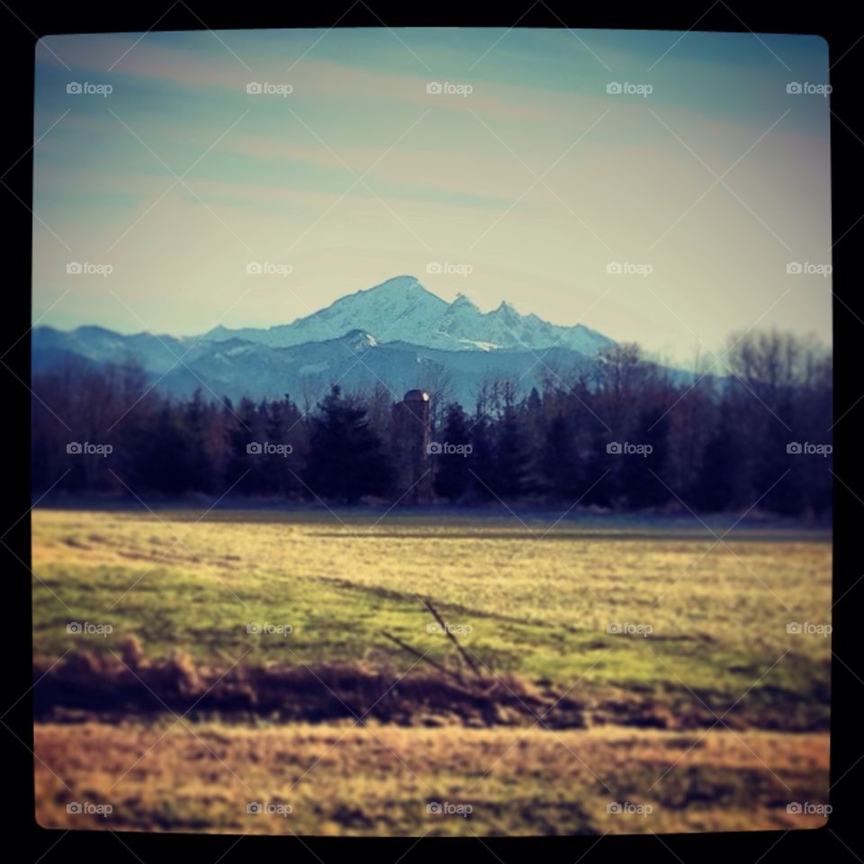 Mt. Baker