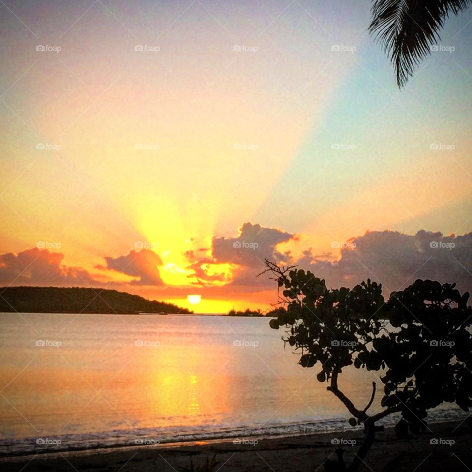 Fronding . Sunset Vieques PR
