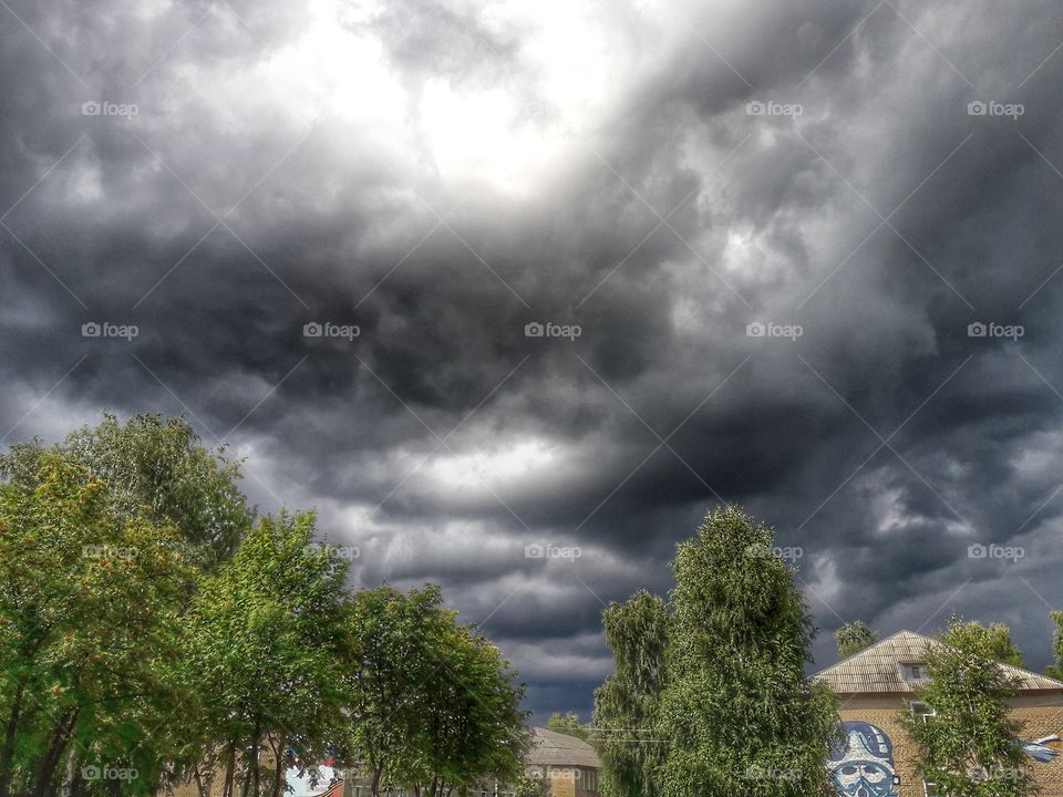 nature flower botany summer spring greens wild clouds sky