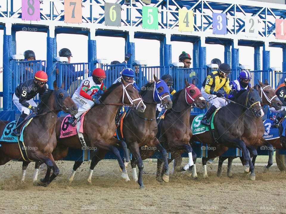 The 2019 Remsen Stakes