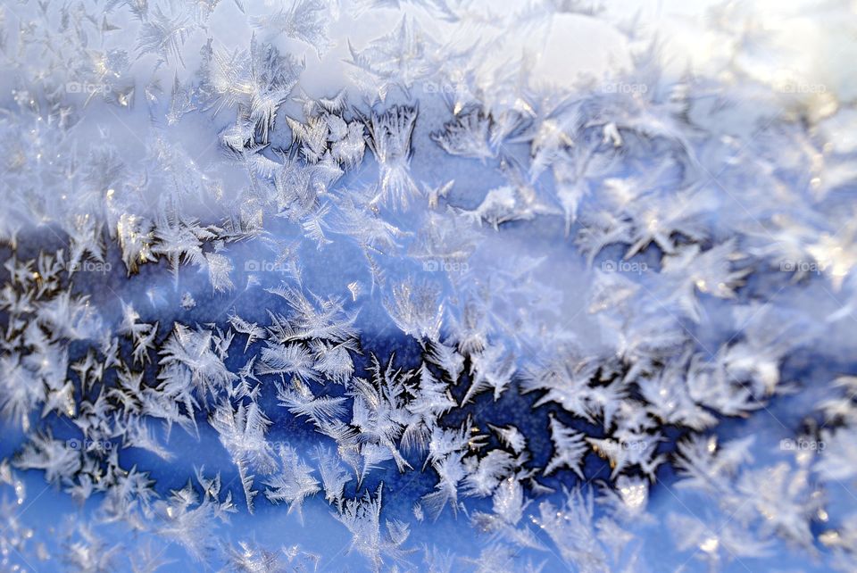 The frost on the glass