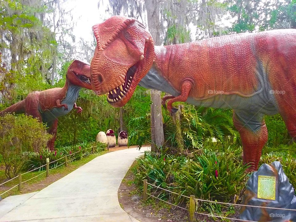 Dinosaur world  t-rex