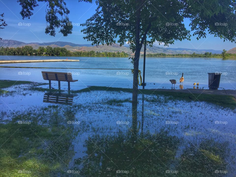 Flooding in the park 
