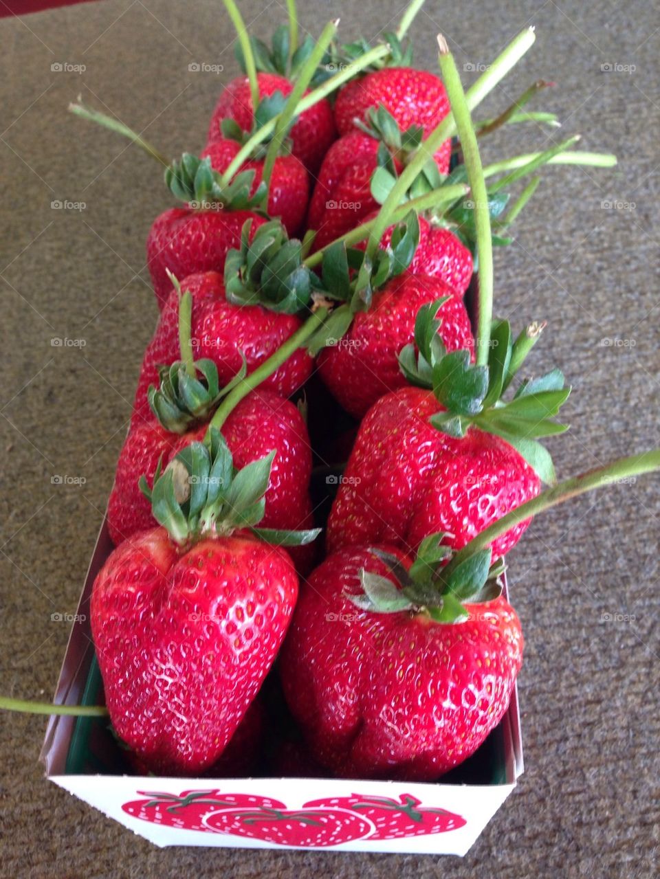 Where is the Chocolate?