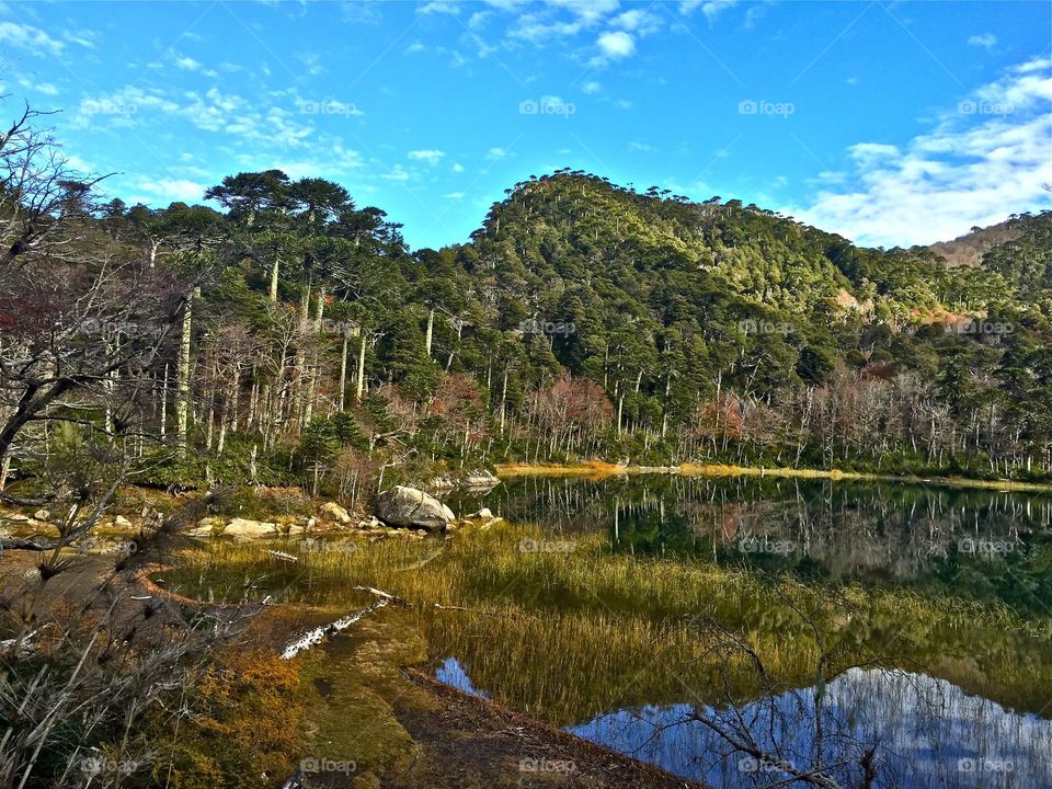 Hiking in southern Chile