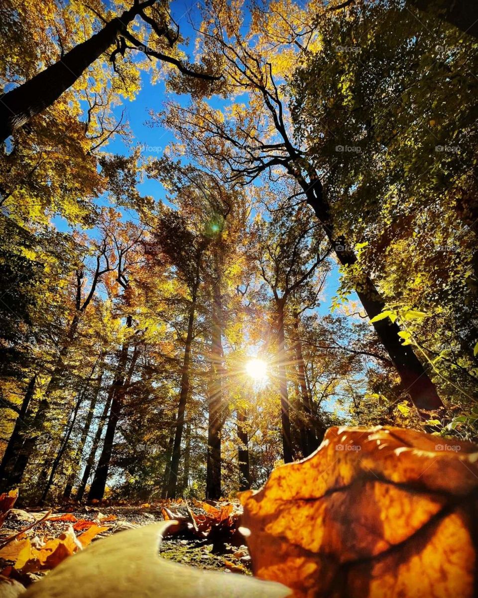 innocence within nature