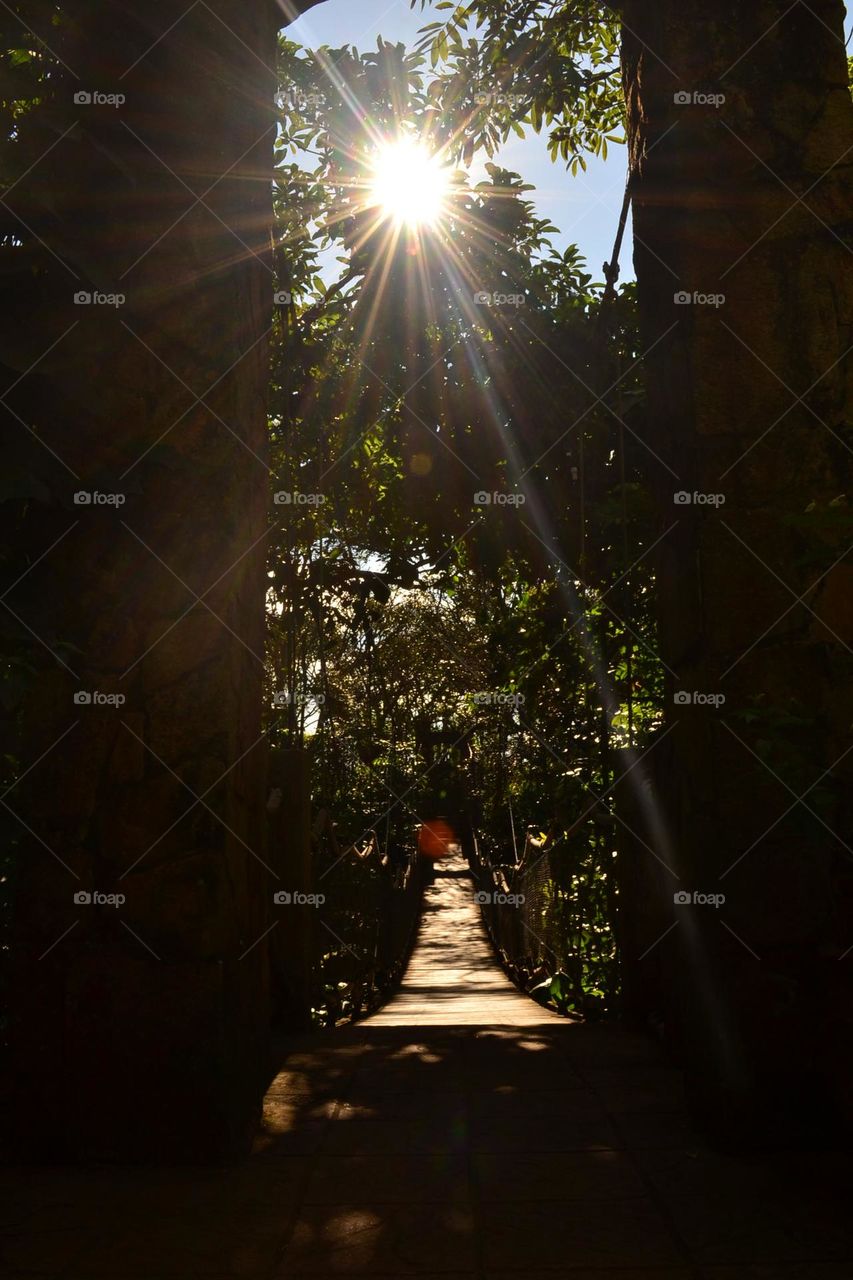 Light through the bridge