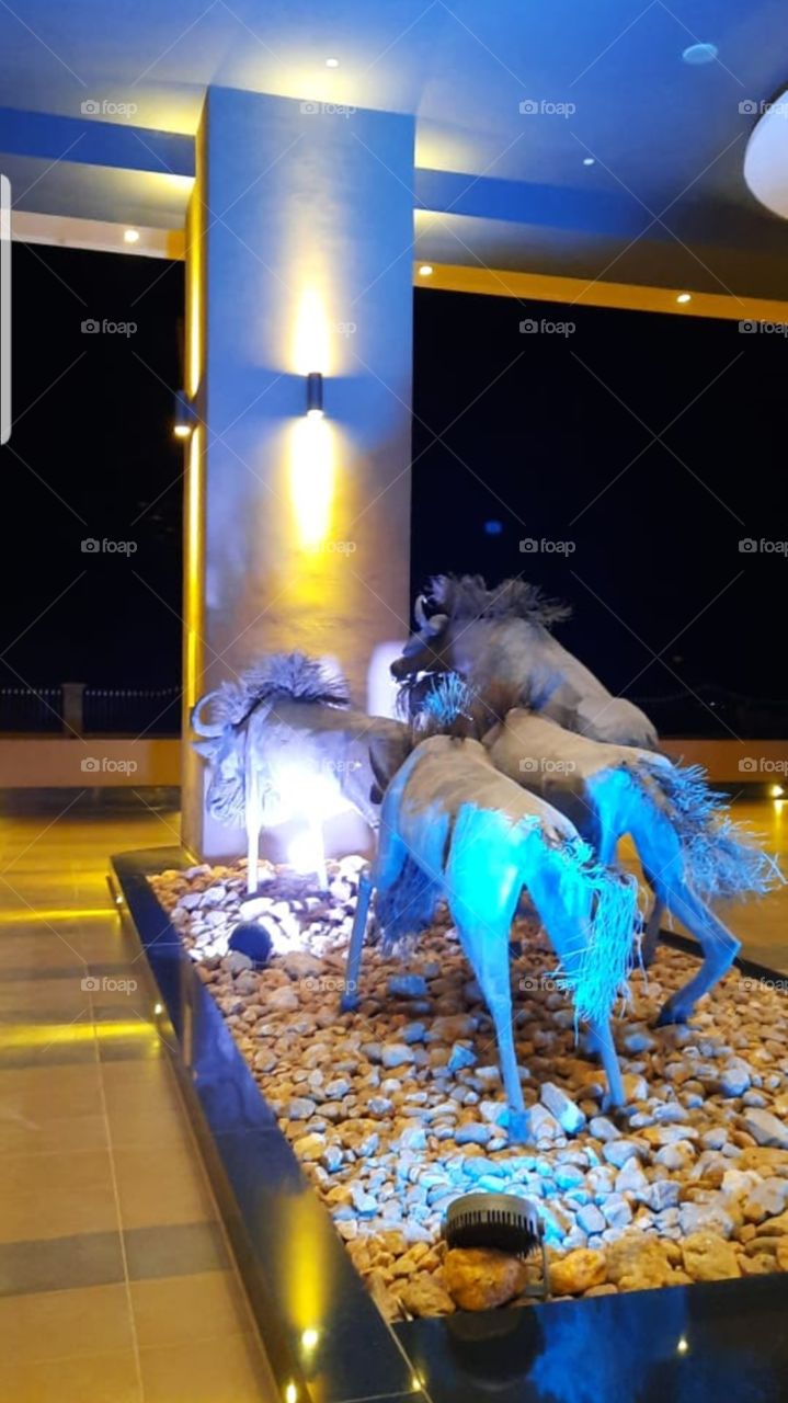 when different lights combine they form something beautiful. The wildlife animations are a representation of what Kenya has and how things blend.