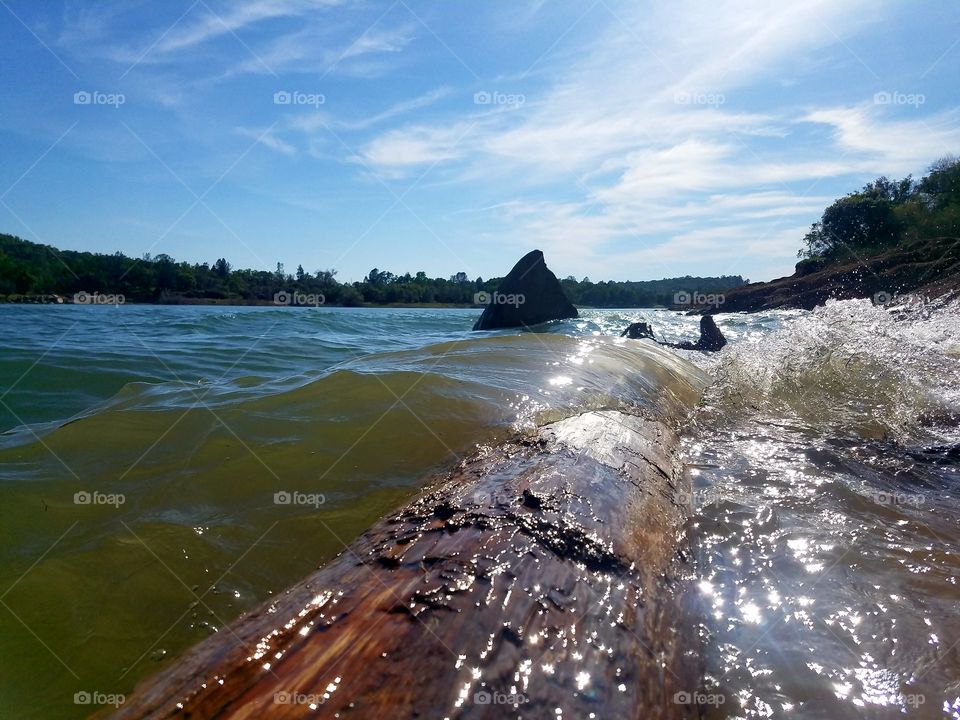 Wave breaking over a log at Folsom lake