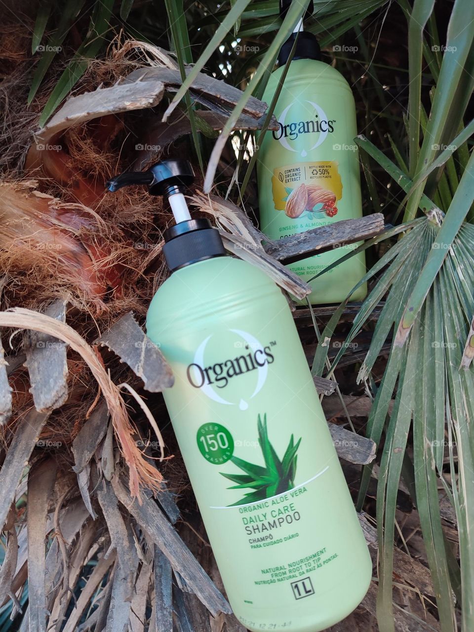 Organics Daily Care 2-in1, Shampoo and Conditioner