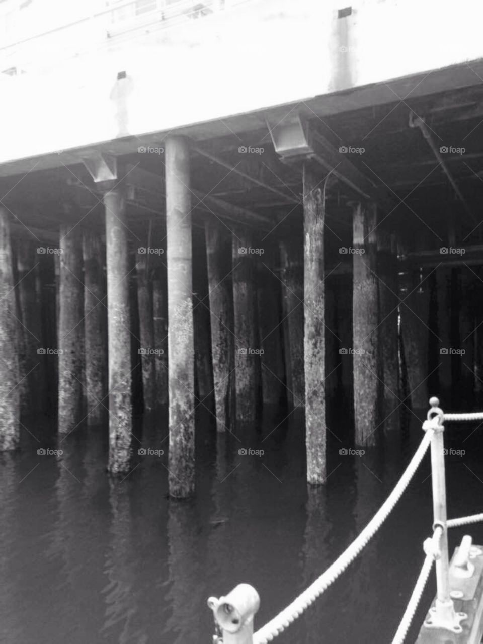 Under the dock