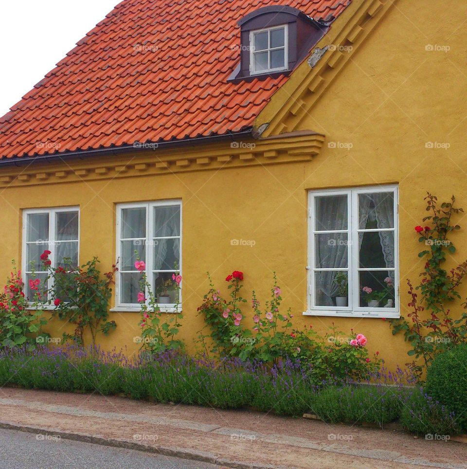 yellow house