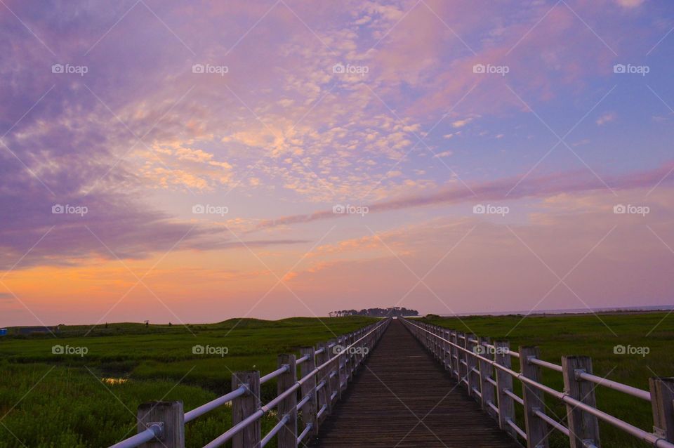 board walk through mars under bright purple sky