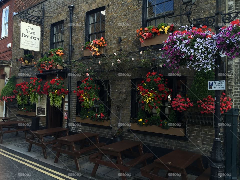 Cafe in Windsor